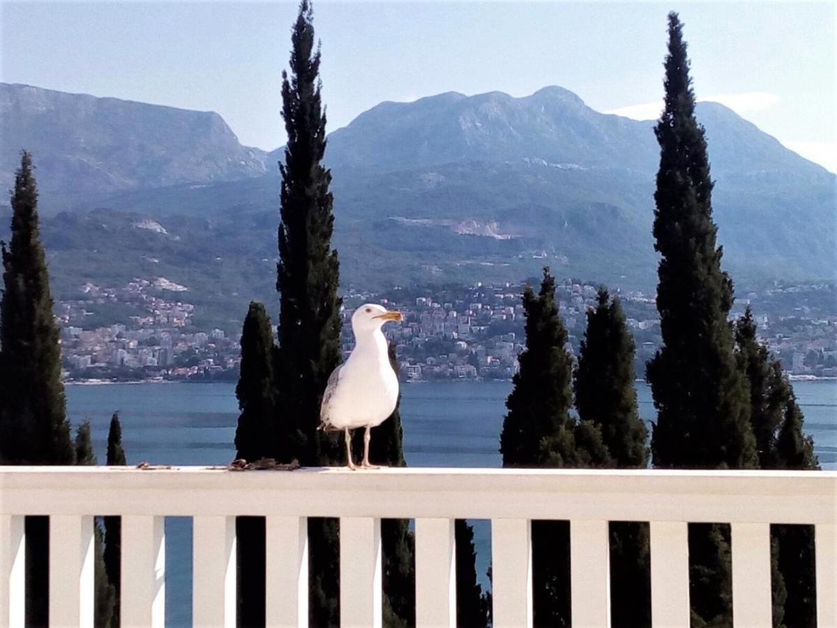 Villa Boka Sunrise Apartments Herceg Novi Zewnętrze zdjęcie