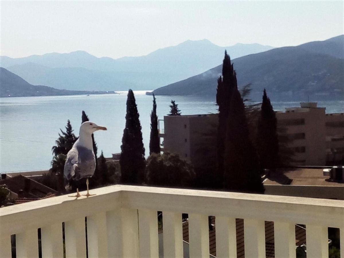 Villa Boka Sunrise Apartments Herceg Novi Zewnętrze zdjęcie