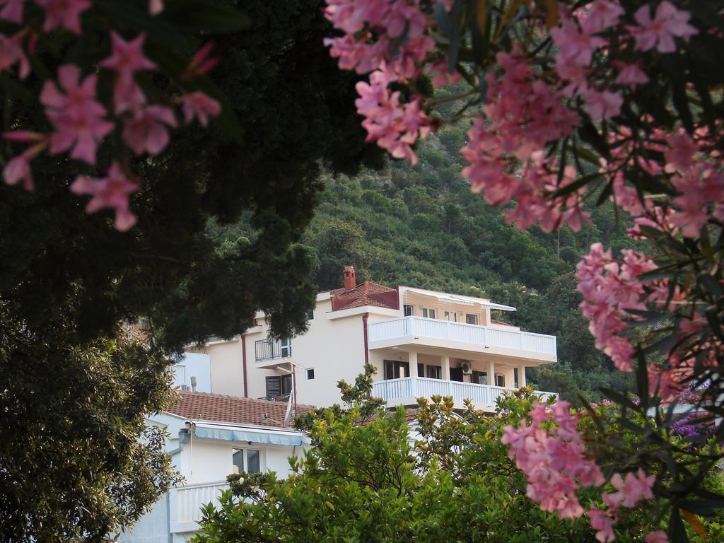 Villa Boka Sunrise Apartments Herceg Novi Zewnętrze zdjęcie